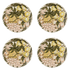 Fruit Dinner Plates (Set of 4)