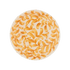 Medium Yellow Scroll Bowl