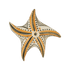 Earth Starfish Ornament