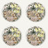 Fruit Dinner Plates (Set of 4)